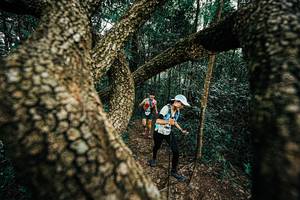 BIB: 
                            <button type="button" onclick="openModal(25393308)" class="btn btn-primary btn-sm float-right btn-popup" data-toggle="modal" data-target=".modal-high-quality">
                        <i class="fas fa-shopping-cart"></i> Add to Cart
                    </button>
                                            <button type="button" onclick="isThisMe(25393308, true)" class="btn btn-success btn-sm float-right btn-popup btn-isme hidden" data-toggle="tooltip" data-placement="bottom" title="นี่คือรูปของคุณใช่ไหม คลิกที่นี่เพื่อเอาเข้าอัลบั้ม">
                        <i class="fas fa-plus"></i> Add to album
                    </button>
                    <button type="button" onclick="isThisMe(25393308, false)" class="btn btn-warning btn-sm float-right btn-popup btn-isnotme hidden">
                        <i class="fas fa-ban"></i> Remove from album
                    </button>